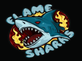 【CS2】前NAVI名将flamie正式创立Flame Sharks电竞俱乐部